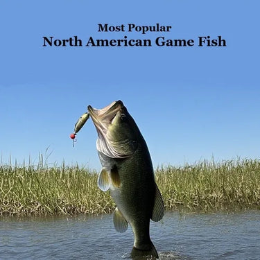 Most Popular North American Game Fish Species Kids Book: Great Book for Children of All Ages About the North American Game Fish Species