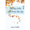 The Boy Who Fell From the Sky