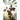 Attack on Titan, Volume 20
