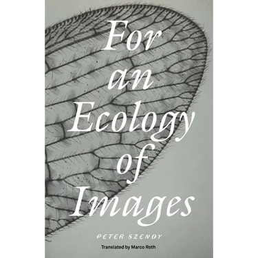 For an Ecology of Images