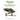 Thomas and the "Great Kitchen Fire": Book One