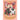 Cardcaptor Sakura Collector's Edition 5