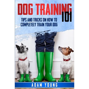 Dog Training 101: Tips and Tricks on How to Completely Train Your Dog