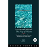 The Play of Waves