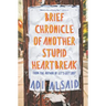 Brief Chronicle of Another Stupid Heartbreak