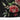 7bdae137-0520-4f41-9bff-db1238989443-Max