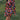 7e7b05b4-8c87-4627-9e1c-636c36fc4cf2-Max
