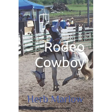 Rodeo Cowboy