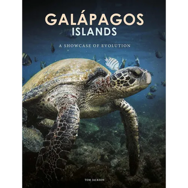 Galapagos Islands: A Showcase of Evolution
