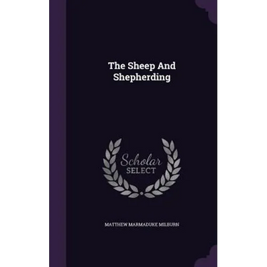The Sheep And Shepherding