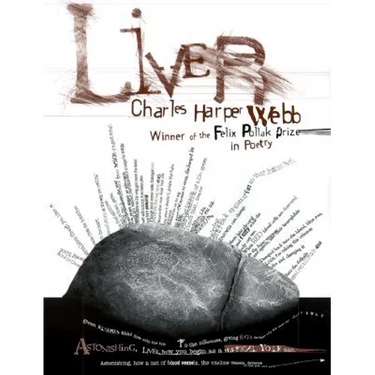 Liver