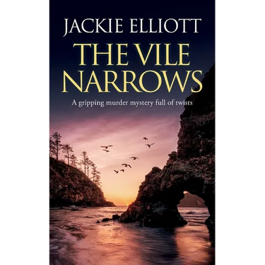 THE VILE NARROWS a gripping murder mystery full of twists