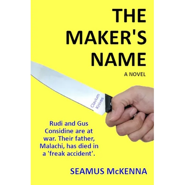 The Maker's Name: A literary, Irish family-saga, for grownups