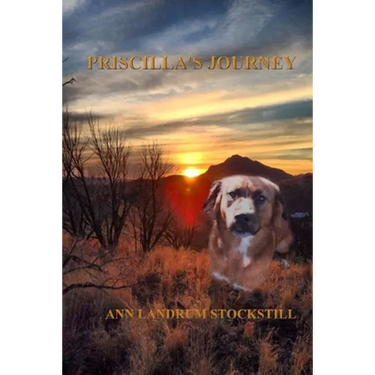 Priscilla's Journey