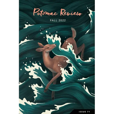 Potomac Review Issue 71
