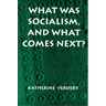 What Was Socialism, and What Comes Next?