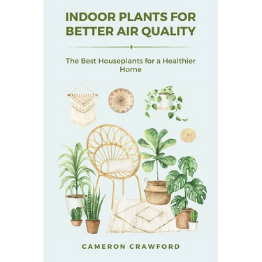 Indoor Plants for Better Air Quality: The Best Houseplants for a Healthier Home