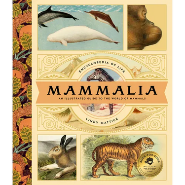 Mammalia: An Illustrated Guide to the World of Mammals