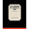 The Promise Of American Life