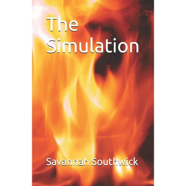 The Simulation
