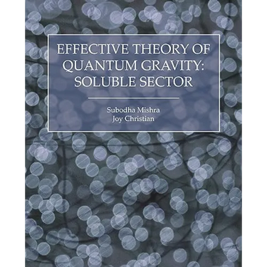 Effective Theory of Quantum Gravity: Soluble Sector