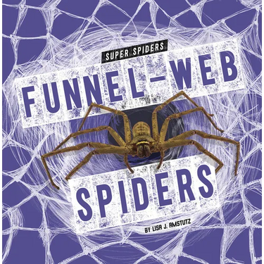 Funnel-Web Spiders