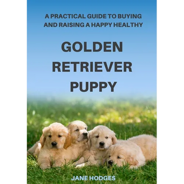 A Practical Guide to Buying and Raising A Happy Healthy Golden Retriever Puppy