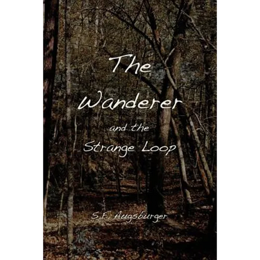 The Wanderer and the Strange Loop