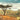 The Great Rift Valley Lakes: The Wildlife of Ethiopia In Afaan Oromo and English