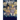 The Black Shields