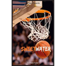 Sweetwater: A Biography of Nathaniel "Sweetwater" Clifton