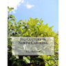 Fig Culture in North Carolina