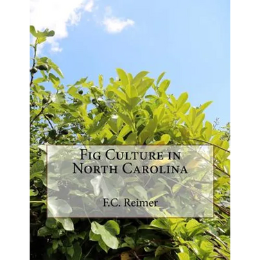 Fig Culture in North Carolina