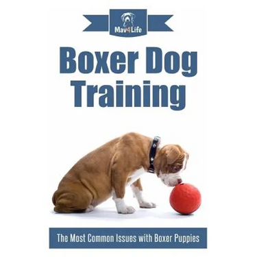 Boxer Dog Training: The Most Common Issues with Boxer Puppies