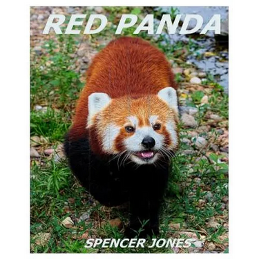 Red Panda: Learn About Red Pandas-Amazing Pictures & Fun Facts