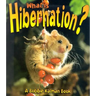 What is Hibernation?