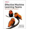 Effective Machine Learning Teams: Best Practices for ML Practitioners