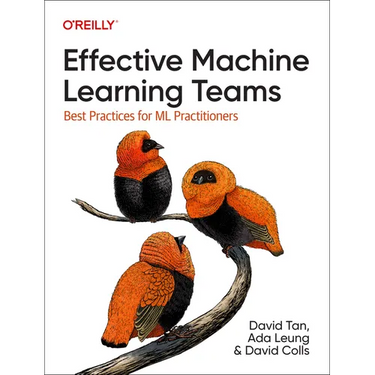 Effective Machine Learning Teams: Best Practices for ML Practitioners