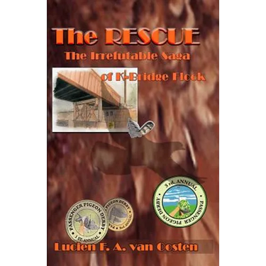 The Rescue: The Irrefutable Saga of K-Bridge Flock