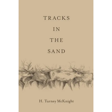 Tracks in the Sand