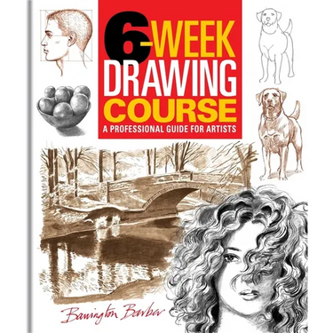 6-Week Drawing Course: A Professional Guide for Artists