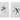 Tabletop Encyclopedia Hummingbird Print (Set of 4)