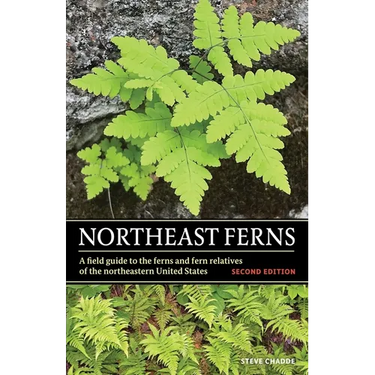 Northeast Ferns: A Field Guide to the Ferns and Fern Relatives of the Northeastern United States