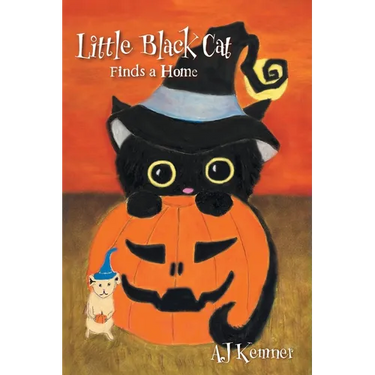 Little Black Cat Finds a Home