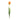 Tulip Floral Stem (Set of 6)