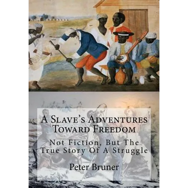 A Slave's Adventures Toward Freedom: Not Fiction, But The True Story Of A Struggle