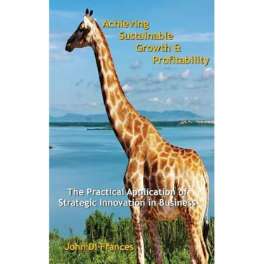 Achieving Sustainable Growth & Profitability: The Practical Application of Strategic Innovation in Business