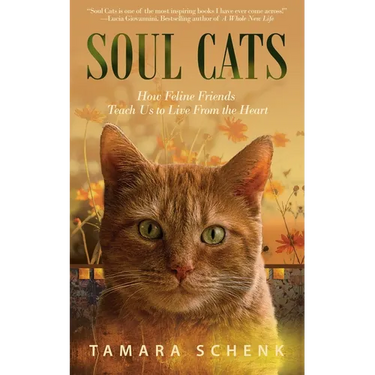 Soul Cats: How Our Feline Friends Teach Us to Live from the Heart