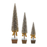 Potted Bottle Brush Pine Tree (Set of 3)