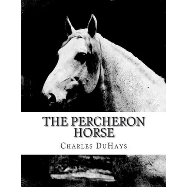 The Percheron Horse
